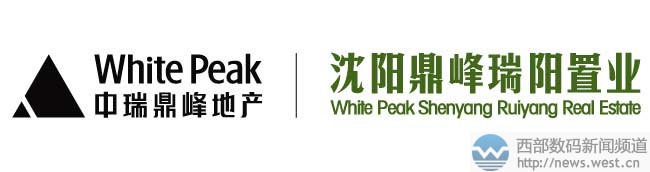 地产终端六位数收购英文域名stey.com!卖家系海外大佬Frank Schilling